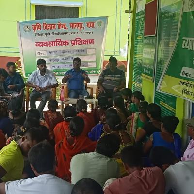 Mashroom Training 28 08 2024 1